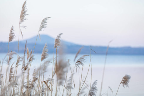 Businessfotografie | Hotel | Insel der Sinne | Goerlitz | 11